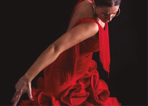 Imagen cedida por Cardamomo Tablao Flamenco.