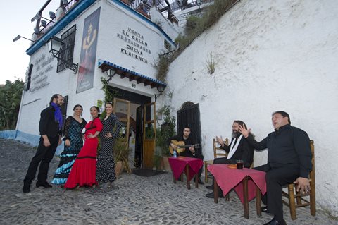 Fotos de Venta El Gallo Cueva Flamenca Restaurante. 