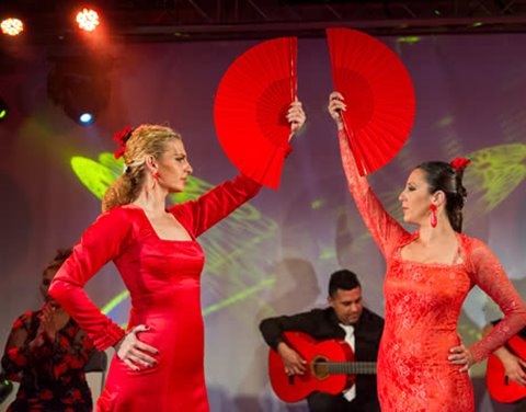 Photos de Arte Flamenco Las Arenas. 