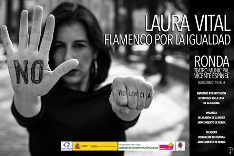 Cartel Flamenco por la Igualdad.