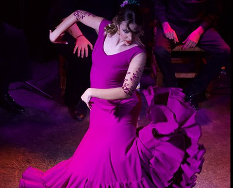 Fotos de Tablao Flamenco La Guarida del Ángel. 