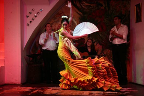 Fotos de Los Gallos Tablao Flamenco. 