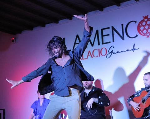 Fotos von Tablao Flamenco im Palast. 
