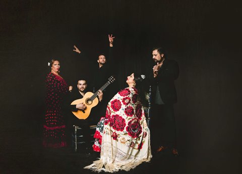 Fotos de Casa Ana - Centro flamenco - Tablao. 