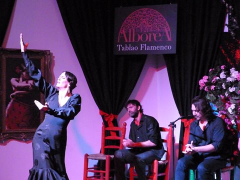 Fotos von Tablao Flamenco La Alboreá. 