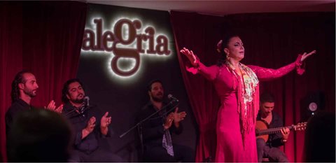 Fotos de Alegría Flamenco y Gastronomía. 