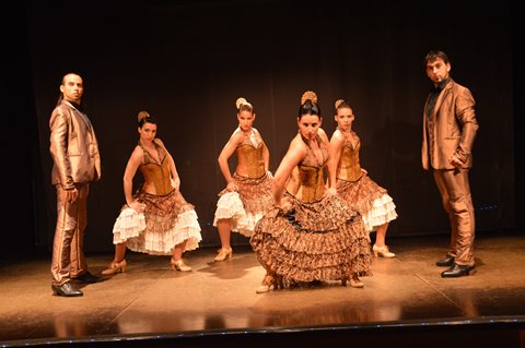 Fotos de Palacio del Flamenco de Barcelona. 