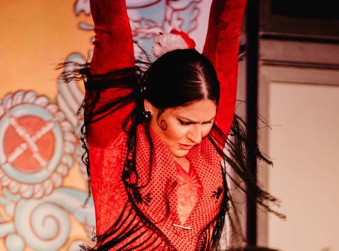 Fotos de Tablao Flamenco La Pacheca. 
